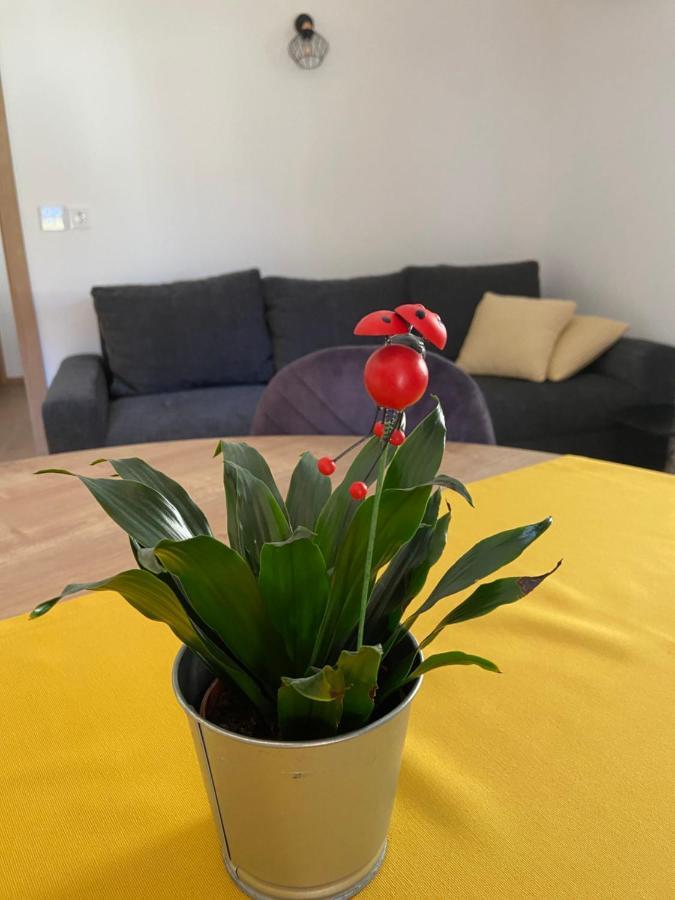 New Apartments Teravila Ратече Экстерьер фото