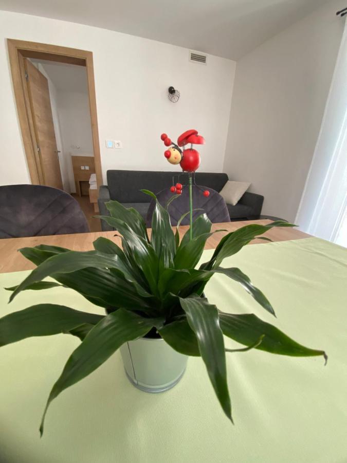 New Apartments Teravila Ратече Экстерьер фото